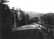 Bend in Newly Paved Road