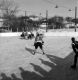 The Skating Rink