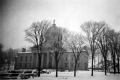 Elms in Front of State House
