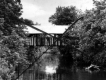 Covered Bridge