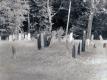 Carpenter Cemetery