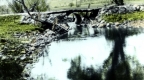 Wooden Bridge with Pipe Underneath