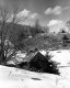 Sugar House