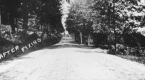 Improved road