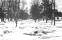 Ice Jam Flood in Town