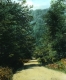 Gulf Road