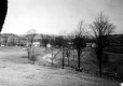 Dirt Road with Pastures and Farms
