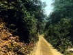 Gulf Road