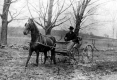 Horse and Buggy in Mud