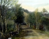 Improved Earth Road