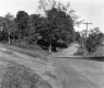 Dirt Roads and Pastures