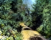 Gulf Road