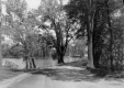 Curve in Old Road by Lake