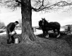 Sugaring Time