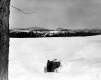 Winter Scene