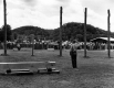 The Lumberjack Roundup