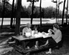 The Picnic