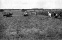 Harvesting Corn