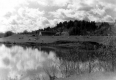 Farm Scene Along Water
