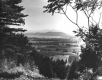 Hilltop View 