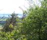 Hilltop View, Reshoot