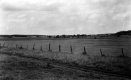 Delphis Lamothe Hay Farm