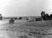 View of a Field