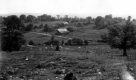 Farm Scene