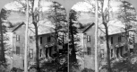 Close-Up View of Vermont Spring