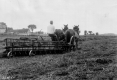 Side Delivery Rake 