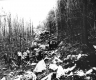 Workers on Norton Road