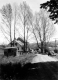 Farm Scene