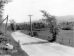 Dirt Road with Utility Lines and Poles