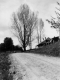 House by a Dirt Road
