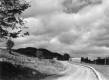 Untilled Field along Route 15