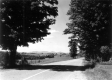 View of Road and Cleared Fields