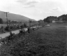 View of Fields and Dirt Road