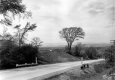 View of Route 7 and Elm Tree
