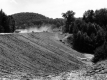 Building Route 116