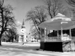 The Park