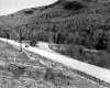 The Fork in the Road