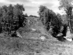 Clearcutting for Road Construction