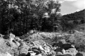 Bedrock Beneath a Future Road