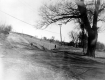 Dirt Roads and Pastures