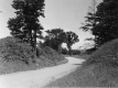 Dirt Road with Grassy Banks Around a Bend