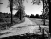 Town highway 50 with wooden posts along sides