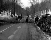 Clearing downed trees off of a paved road