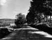 View east toward Hamlet of Cookville