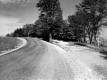Curve in Rt. 23