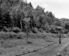 Utility lines in grass